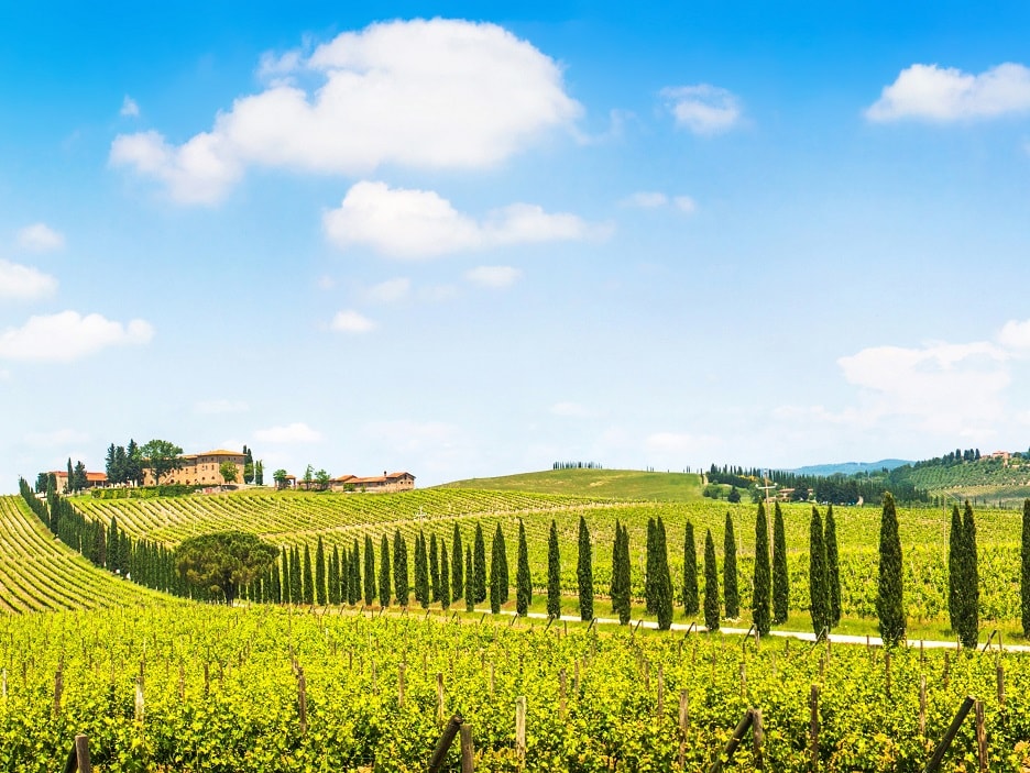 Chianti Wine Tour by Fun in Tuscany Tour