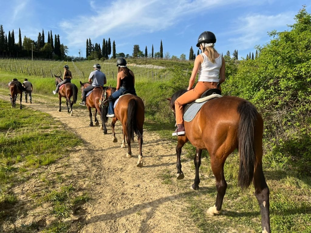 Horseback Riding Tour In The Tuscany Hills