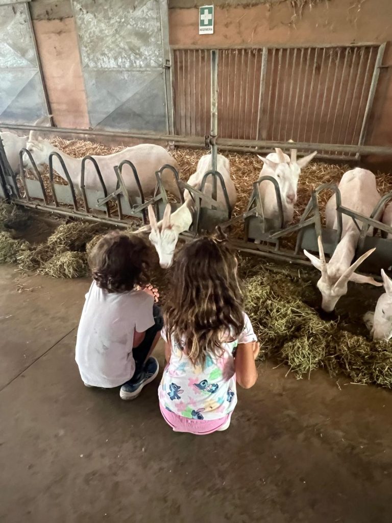 Photo 2025 06 28 15 14 52