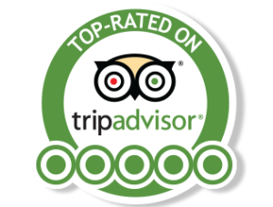 Tripadvisor top rated